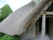 The newly rebuilt Iron Age roundhouse at the ATC