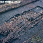 Walton Track